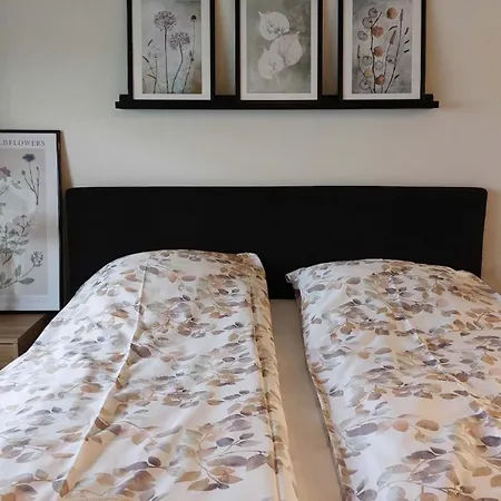 Scandinavian Apartment *