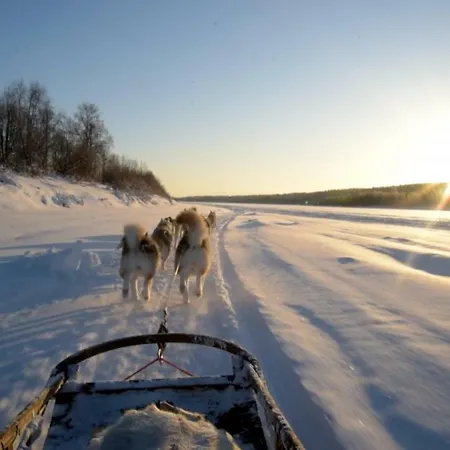 Scandinavian Rovaniemi