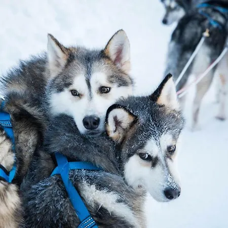 Scandinavian Home, Free Parking * Rovaniemi