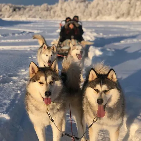 Scandinavian *