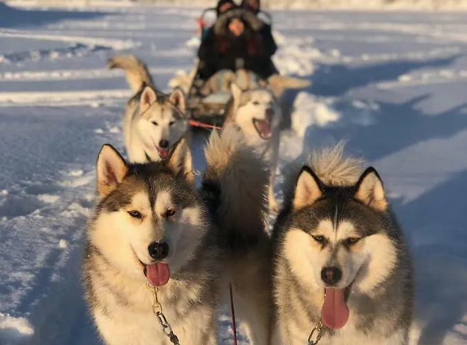 Scandinavian Home, Free Parking *